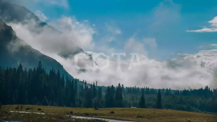 Джип-тур по Чуйскому тракту: Жара на Алтае - фото 9