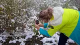 Алтайский марс и долина реки Чулышман: Золотая осень на Алтае - фото 2 (миниатюра)