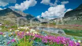Джип-тур по Чуйскому тракту: Жара на Алтае - фото 5 (миниатюра)