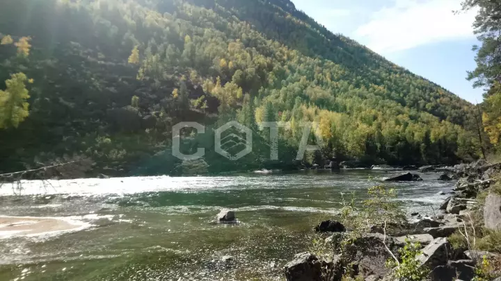 Алтайский марс и долина реки Чулышман: Золотая осень на Алтае - фото 13