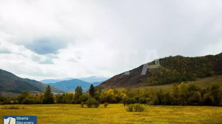 Джип-тур по Чуйскому тракту: Встреча с Маралами - фото 8