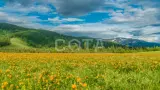 Алтайский марс и долина реки Чулышман: Джип Жара - фото 13 (миниатюра)