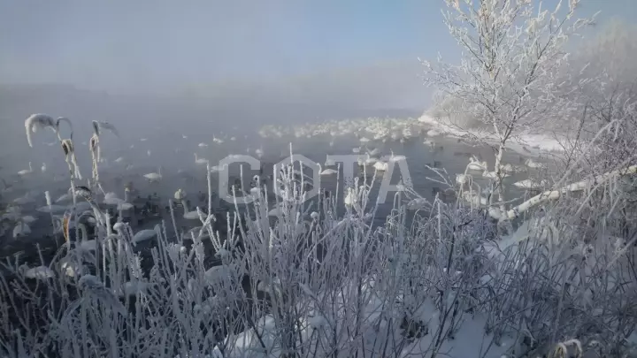 Джип-тур по Чуйскому тракту: Времена года - фото 8