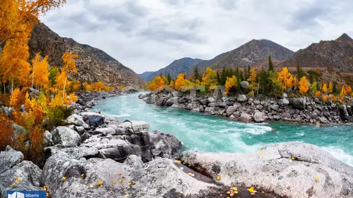 Джип-тур по Чуйскому тракту: Золотая осень на Алтае - фото 25
