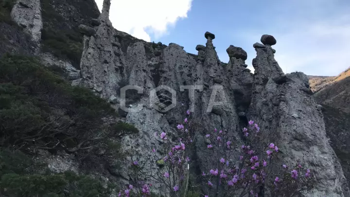 Алтайский марс и долина реки Чулышман: Звезды в горах - фото 27