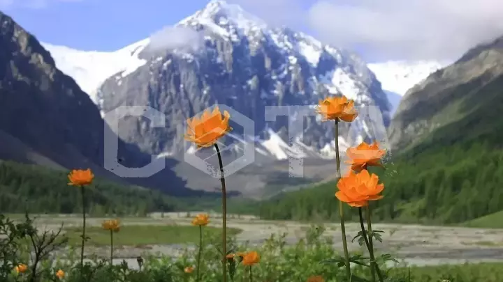 К Чуйским белкАм - фото 8