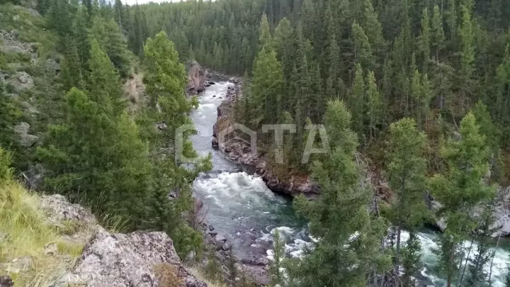 Алтай не для всех - фото 11