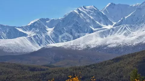 "К Чуйским белкАм", активный треккинг-тур налегке - фото 4