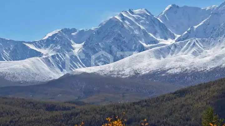 К Чуйским белкАм - фото 3