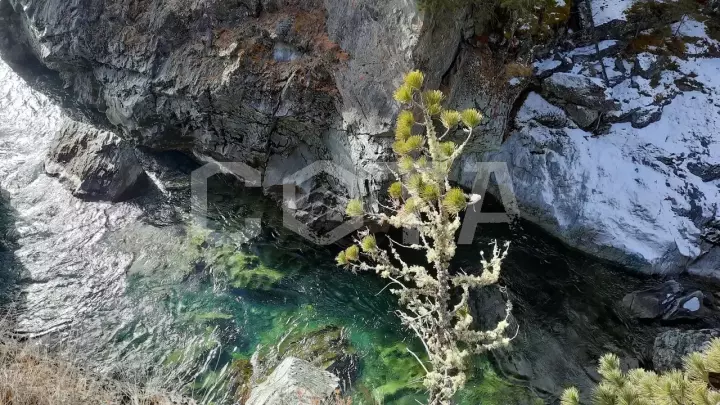 Алтай не для всех - фото 6