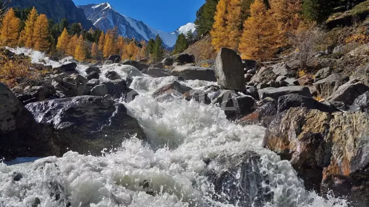 К Чуйским белкАм - фото 19