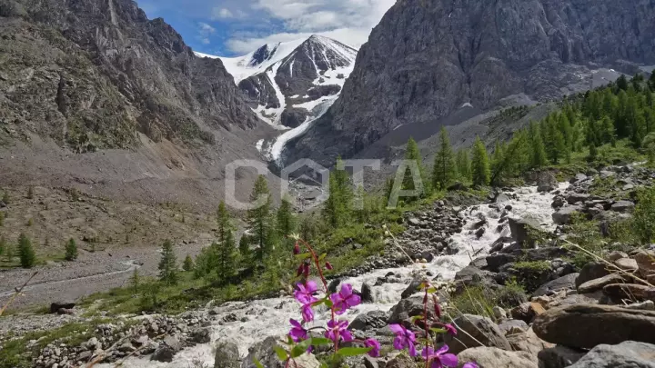 К Чуйским белкАм - фото 11