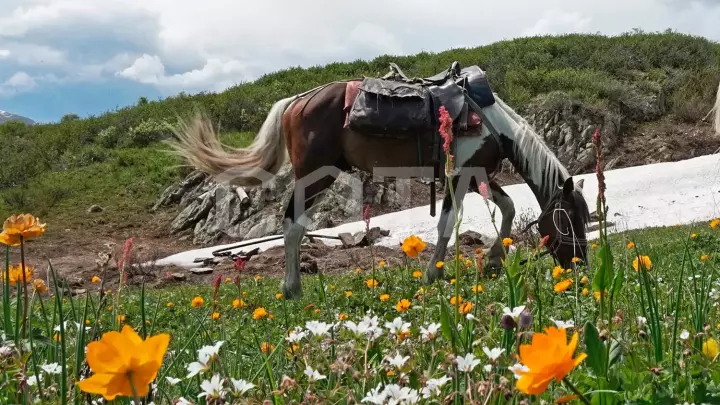 К Шавлинским озерам - фото 14