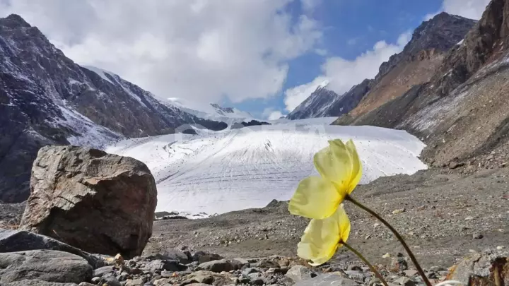 К Чуйским белкАм - фото 9