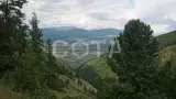 Алтай не для всех - фото 10 (миниатюра)