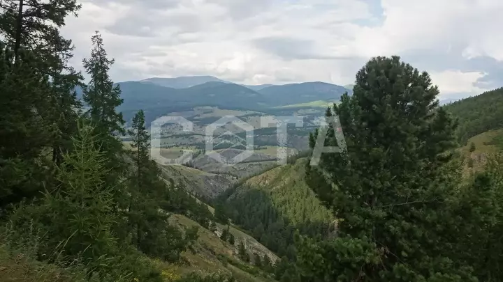 Алтай не для всех - фото 10
