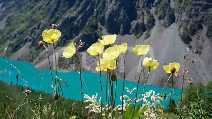 К Шавлинским озерам - фото 28