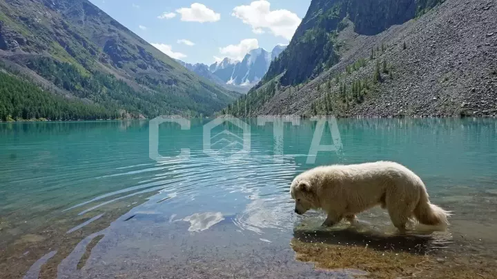 К Шавлинским озерам - фото 9