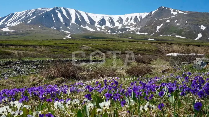 К Шавлинским озерам - фото 15