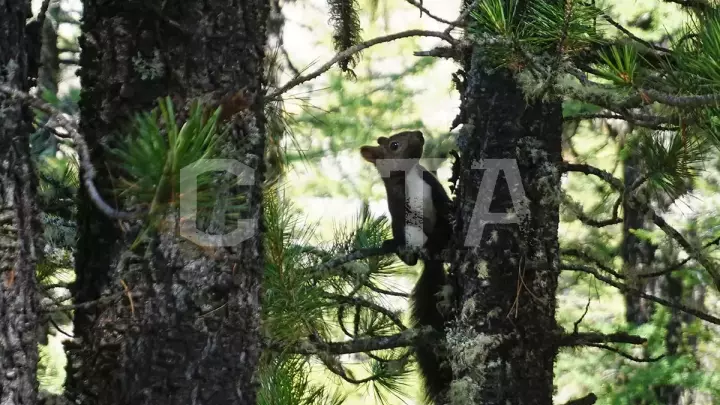 К Шавлинским озерам - фото 22