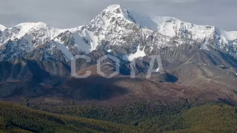 "К Чуйским белкАм", активный треккинг-тур налегке - фото 5