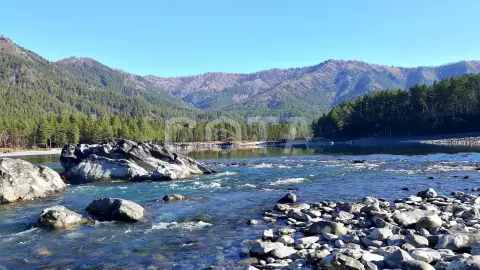 Голубые глаза Катуни - фото 3