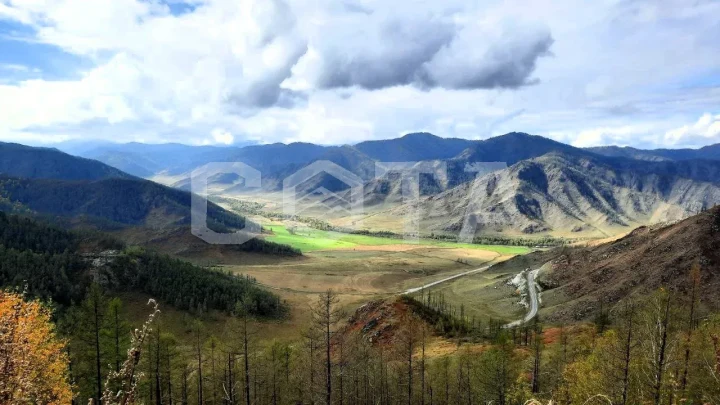 Яркий Алтай, весеннее автопутешествие - фото 14