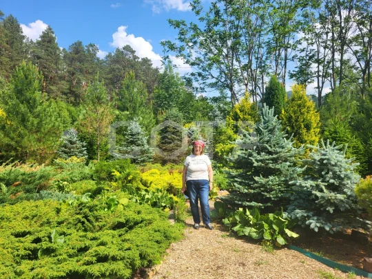 Алтайское долголетие - для тех, кто молод душой - фото 2