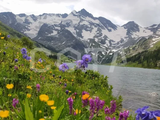 Мультинская сказка, кольцевой поход к озерам Катунского хребта - фото 3