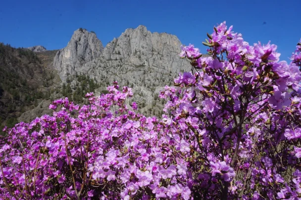 Яркий Алтай, весеннее автопутешествие - фото 21