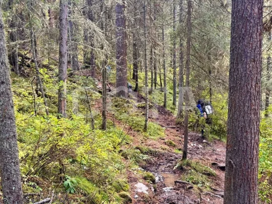 Золотая Кучерла, пеший поход - фото 3