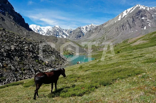 Изумруды Алтая, легкий поход с вьючными лошадьми - фото 5