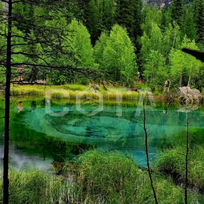 Топ-5 красот Алтая, тур первого знакомства - фото 8