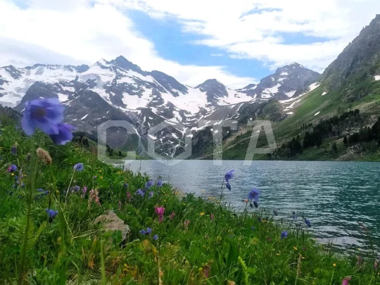 Мультинская сказка, кольцевой поход к озерам Катунского хребта - фото 14