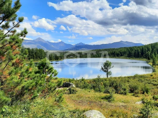 Яркий Алтай, весеннее автопутешествие - фото 7