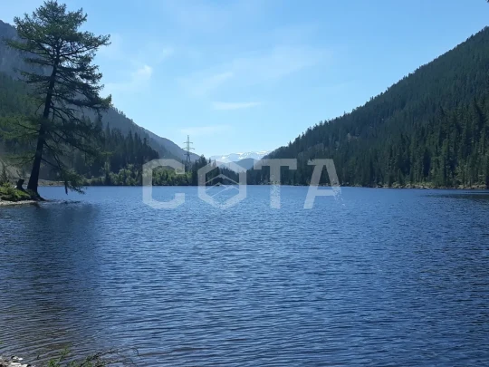 Яркий Алтай, весеннее автопутешествие - фото 5