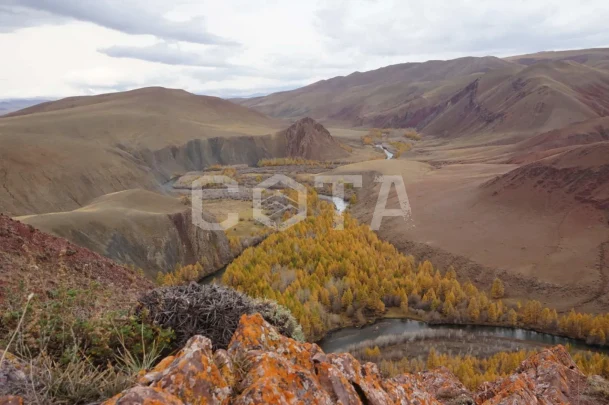 Золото Алтая, путешествие в царство осенних красок - фото 7
