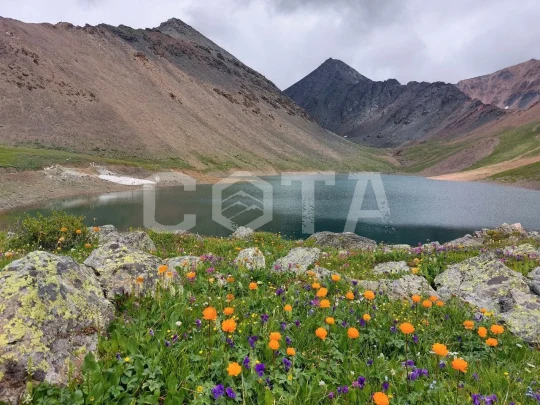 Алтай. Грани высокогорья, джип-тур - фото 7