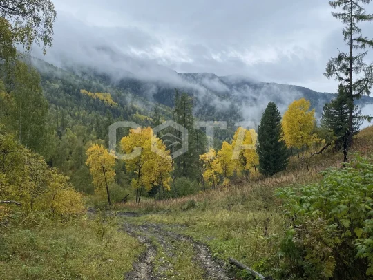 К подножию Белухи: ороктойской тропой, пеший поход - фото 1