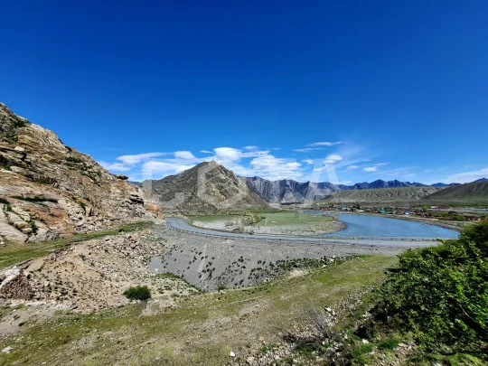 Алтайские краски: цветение маральника - фото 2