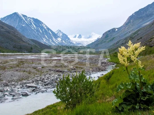 Серебро Алтая, активный треккинг-тур налегке - фото 7