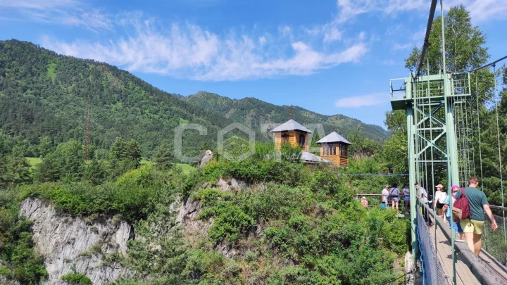 Алтайские краски: цветение маральника - фото 11