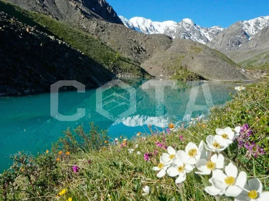 Изумруды Алтая, легкий поход с вьючными лошадьми - фото 2