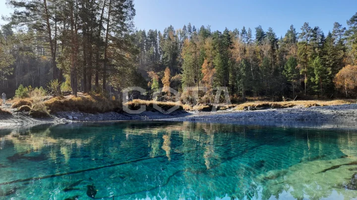 В объятиях Алтая, осенний автотур - фото 6