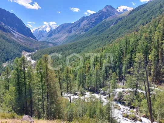 Изумруды Алтая, легкий поход с вьючными лошадьми - фото 6