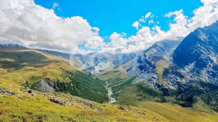 Пеший поход к Белухе с вьючными лошадьми - фото 18