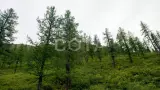 Пеший тур к Шавлинским озерам (эконом) - фото 2 (миниатюра)