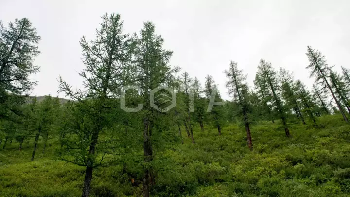 Пеший тур к Шавлинским озерам (эконом) - фото 2