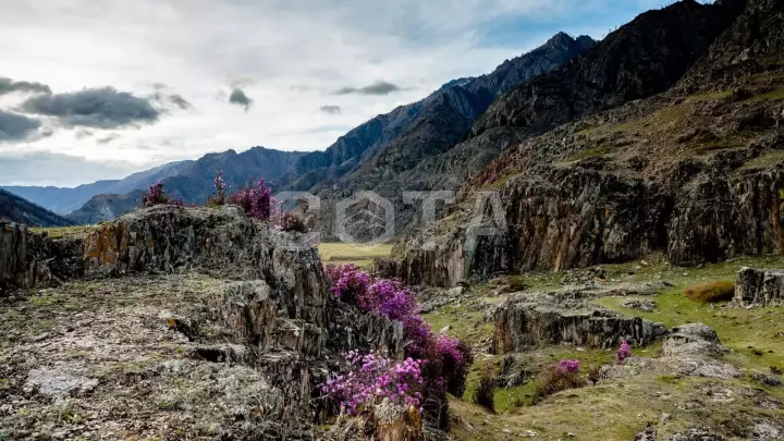 Сплав по рекам Чуя и Катунь на майские праздники - фото 7