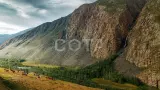Золотое кольцо Алтая - фото 12 (миниатюра)
